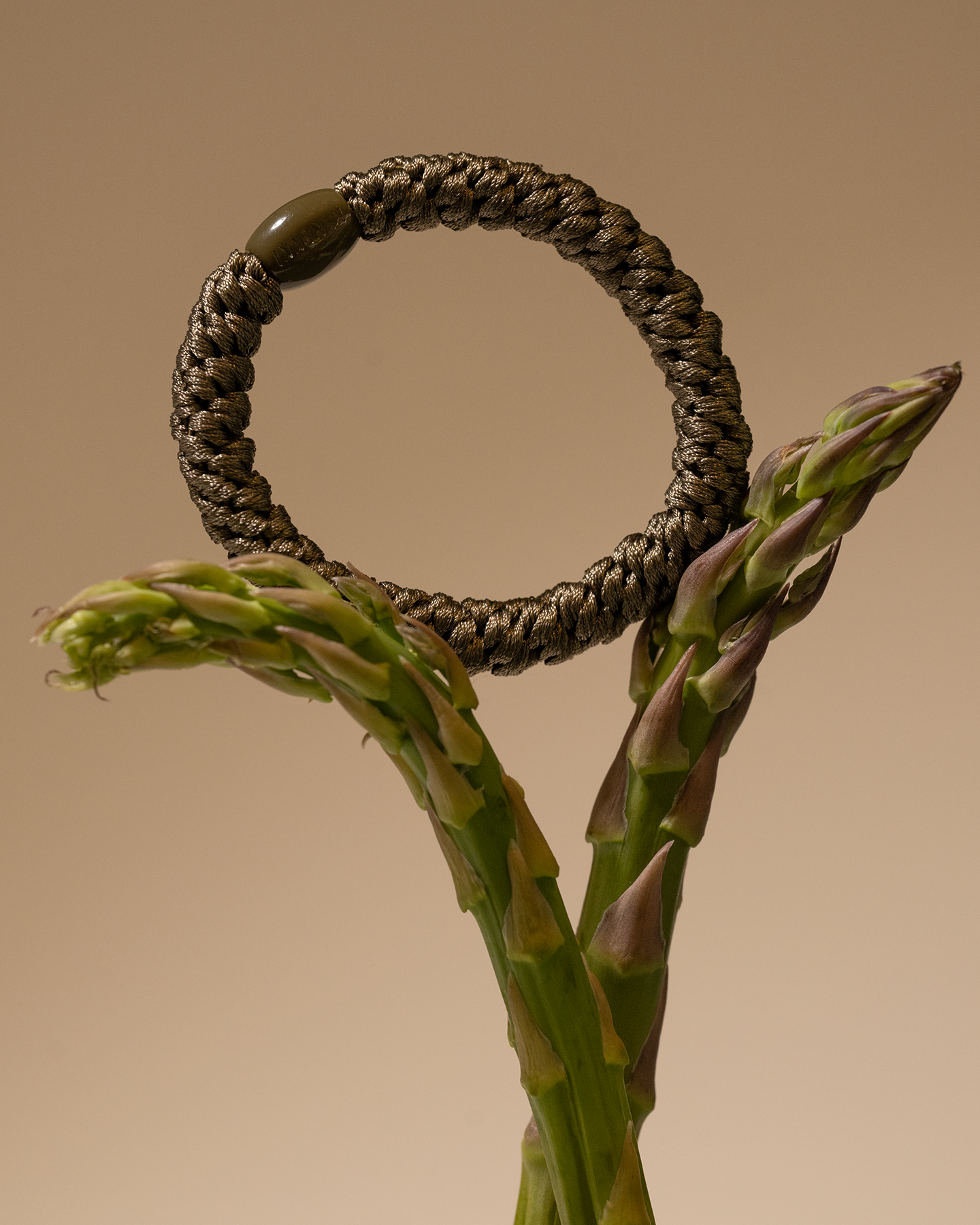 CEDAR